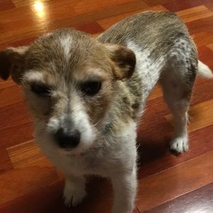 Meet your Posher, Juana